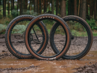 Welche gravelreifen für schlammige herbsttouren: schwalbe g‑one, maxxis rambler oder continental terra im direkten vergleich